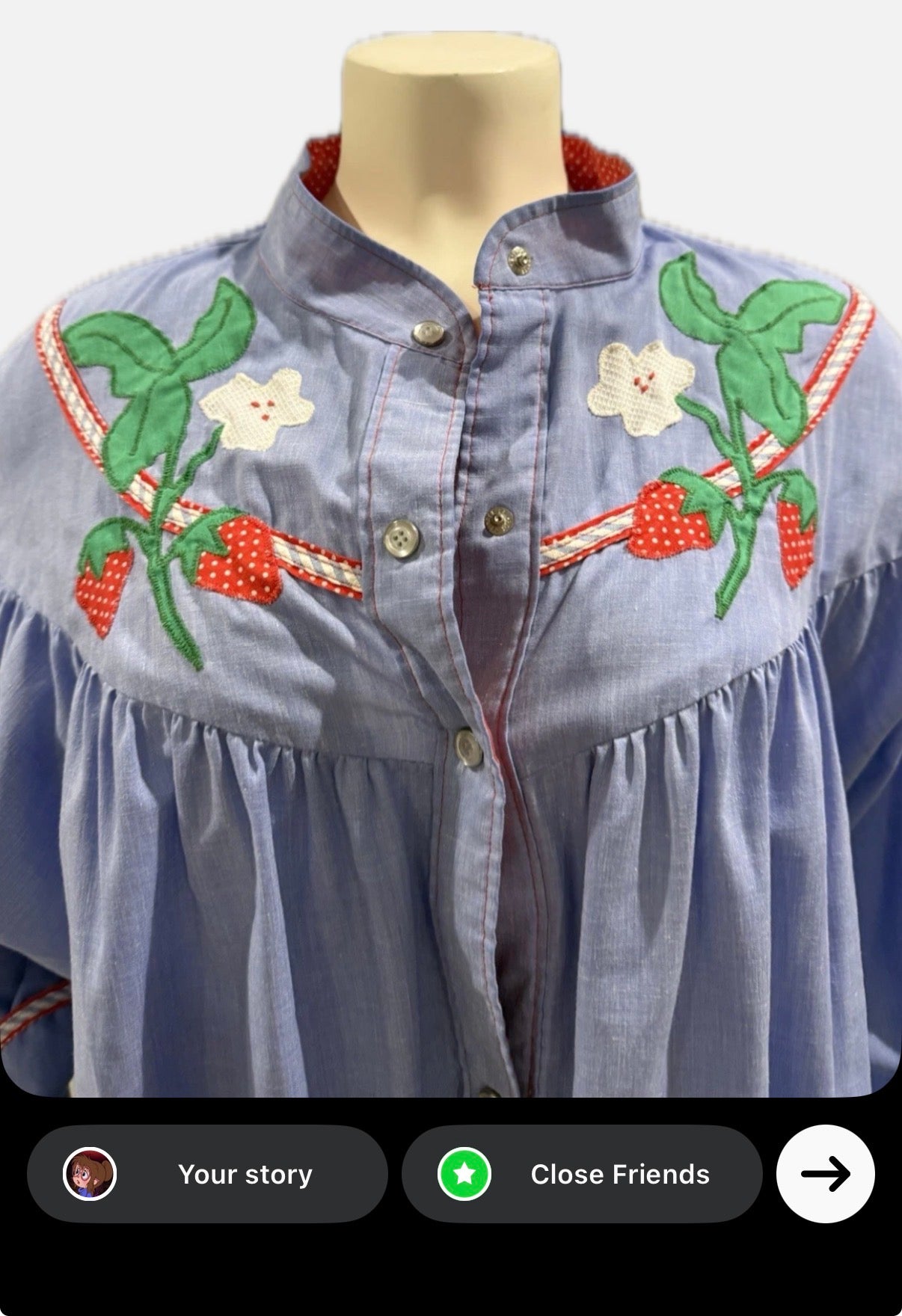 Strawberry Wine Dress